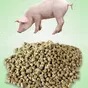 комбикорм гранулы для откорма свиней- в Кургане